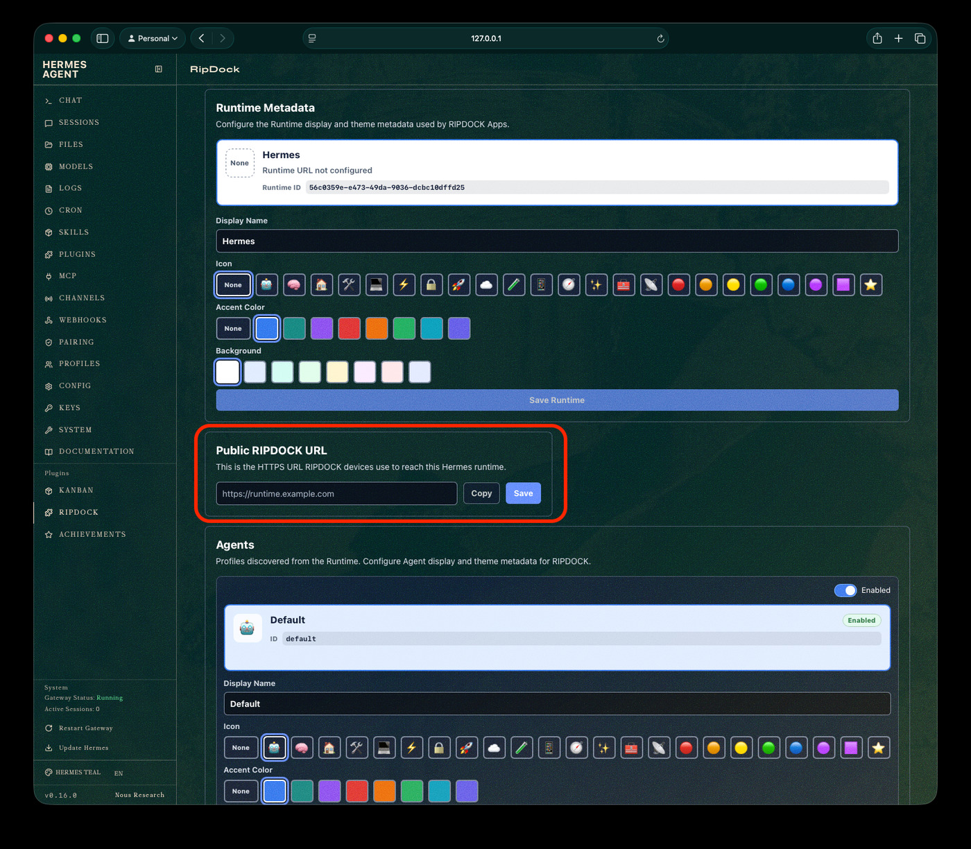 Hermes dashboard RipDock plugin page with Public RipDock URL field highlighted